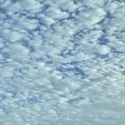 ゆみこ