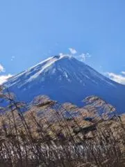 ぱおちゃん 断捨離中！ 【プロフ必読】の画像