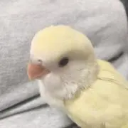 happinessの画像