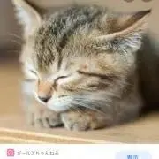 ヒメ