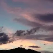mouseの画像