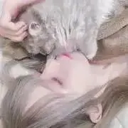 ☾ ໋の画像