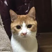 むらさん　断捨離中