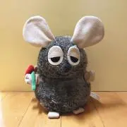 フレデリックの画像