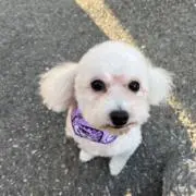みっつまん☆の画像