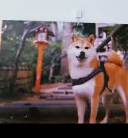 jesika