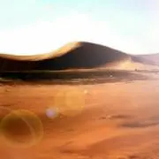 獏