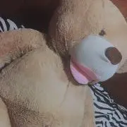 もっちゅ