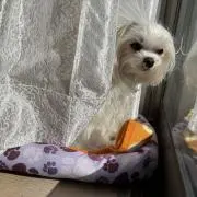 taka_pの画像