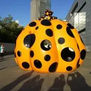 HANZOの画像