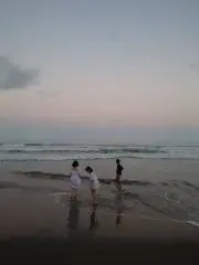 メープル♪の画像