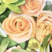 アワヤーの画像