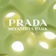雨9/12〜9/21発送出来ません