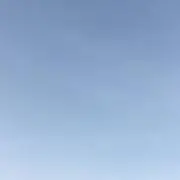 팔の画像