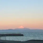 ひかり