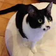 まりちゃん