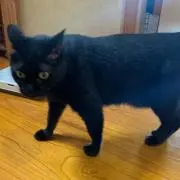 ハイポの画像