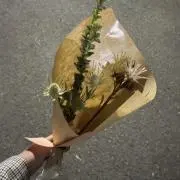さくらんぼの画像