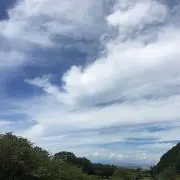 windy