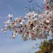 REIの画像