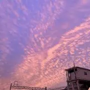 ほらにの画像