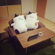 ぶーにゃんの画像