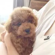 ひとみん　値下げ中☺︎の画像