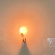 みーの画像