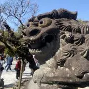 まっちゃ