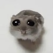 大河の画像