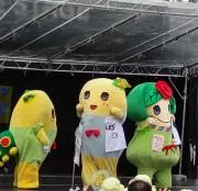 makoの画像