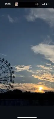 きなこの画像