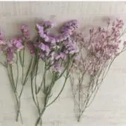 y【フォローで10%お値引き☆】の画像