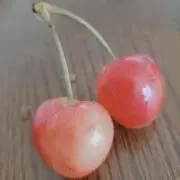めい※プロフ確認お願いします！！の画像
