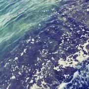 Skyの画像
