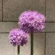 Mihoho整理整頓中❗️フィール用確認
