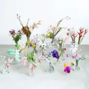 zoiの画像