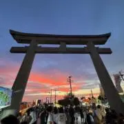 プリンの画像