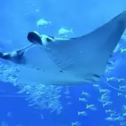 さぶろっくの画像