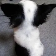 うにゃにゃ