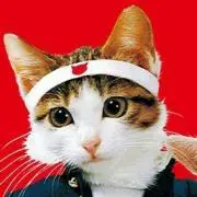 まきまき