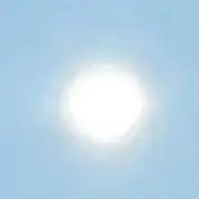 トニーの画像
