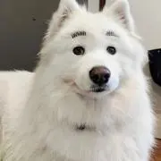 ずーすーの画像