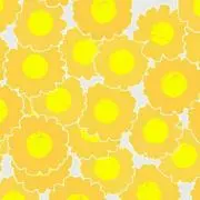 raririの画像