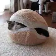 tamaの画像