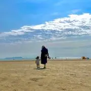 ちぃの画像