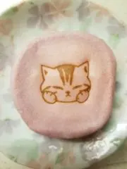 璃子のセレクトの画像