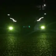 けっぎの画像
