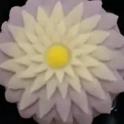 しまこの画像