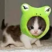 maru